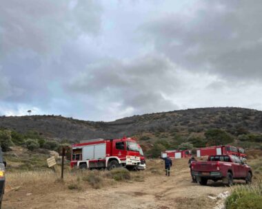 Οχήματα της Πυροσβεστικής στη Διψέλιζα Κερατέας