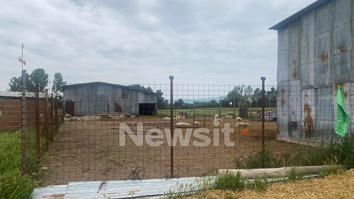 Η κτηνοτροφική μονάδα