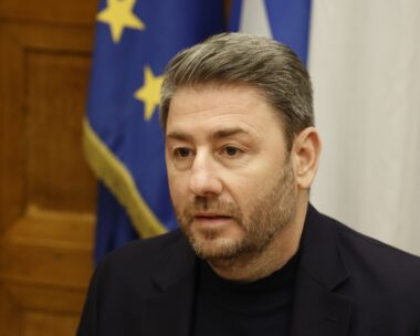 Ο Νίκος Ανδρουλάκης