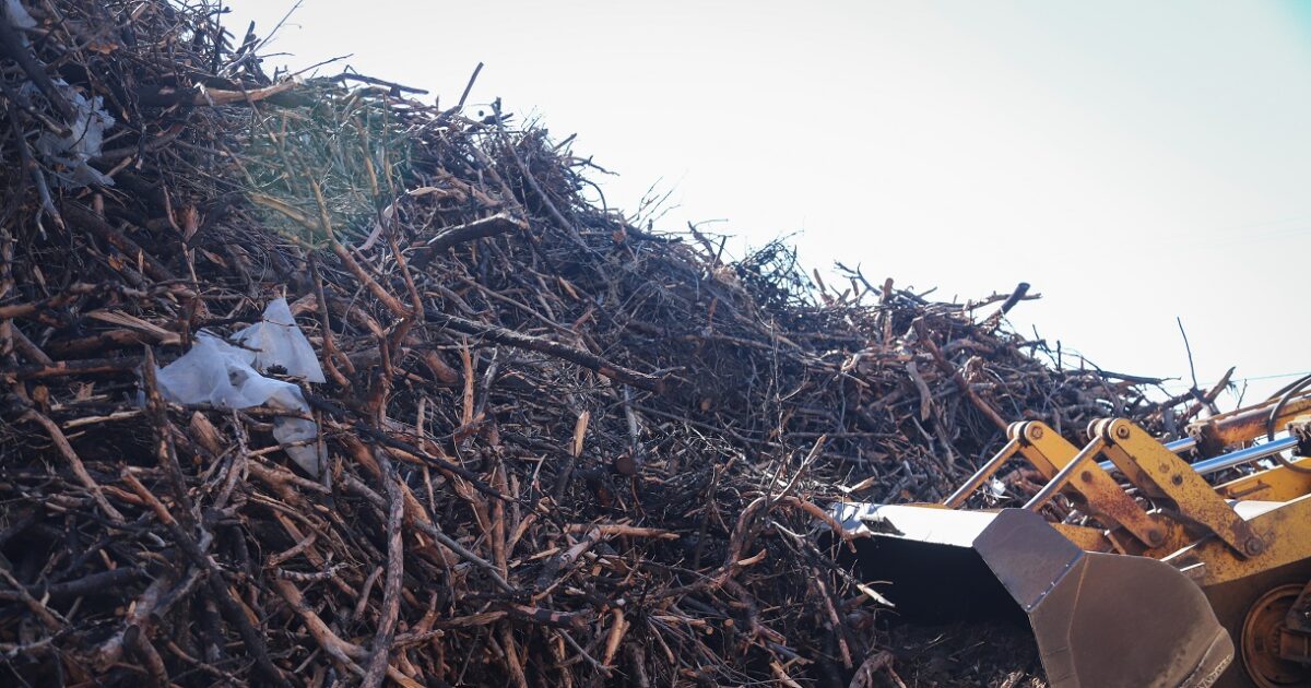 Extension by June 15th in statements for cleaning plots