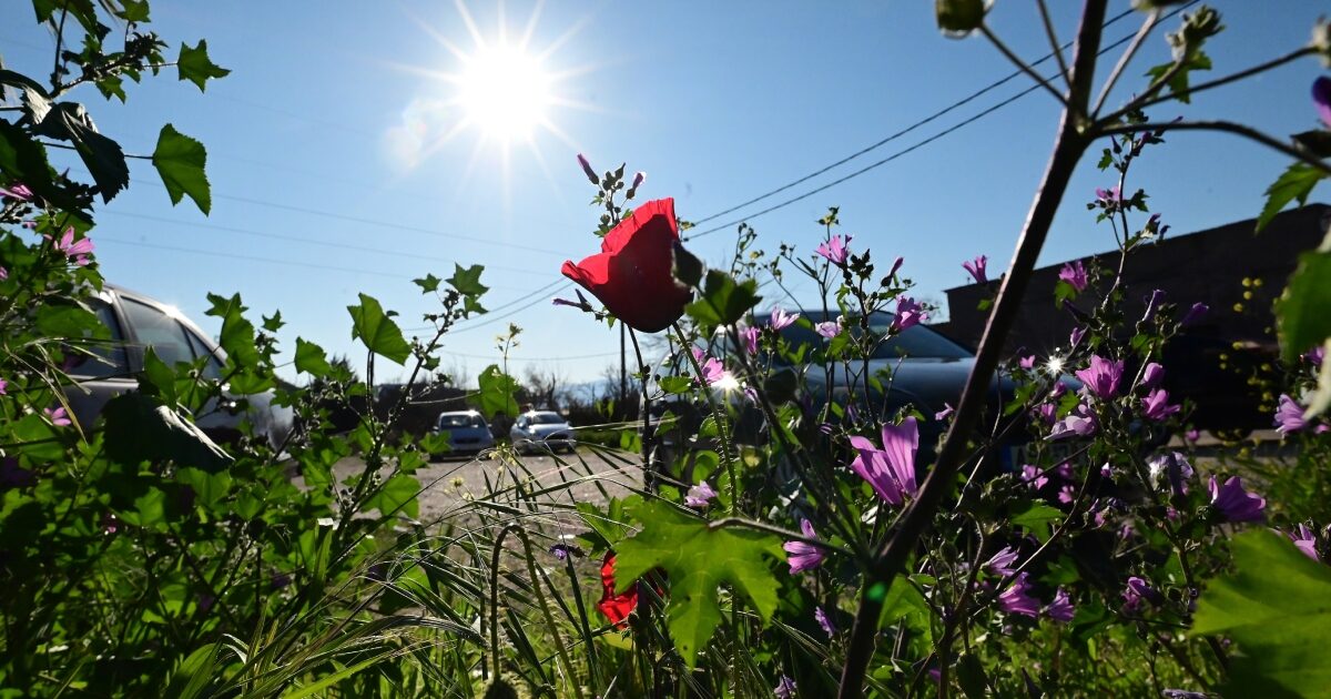 Easter Sunday: With sunshine and temperature at 25 degrees Easter table – where will it rain