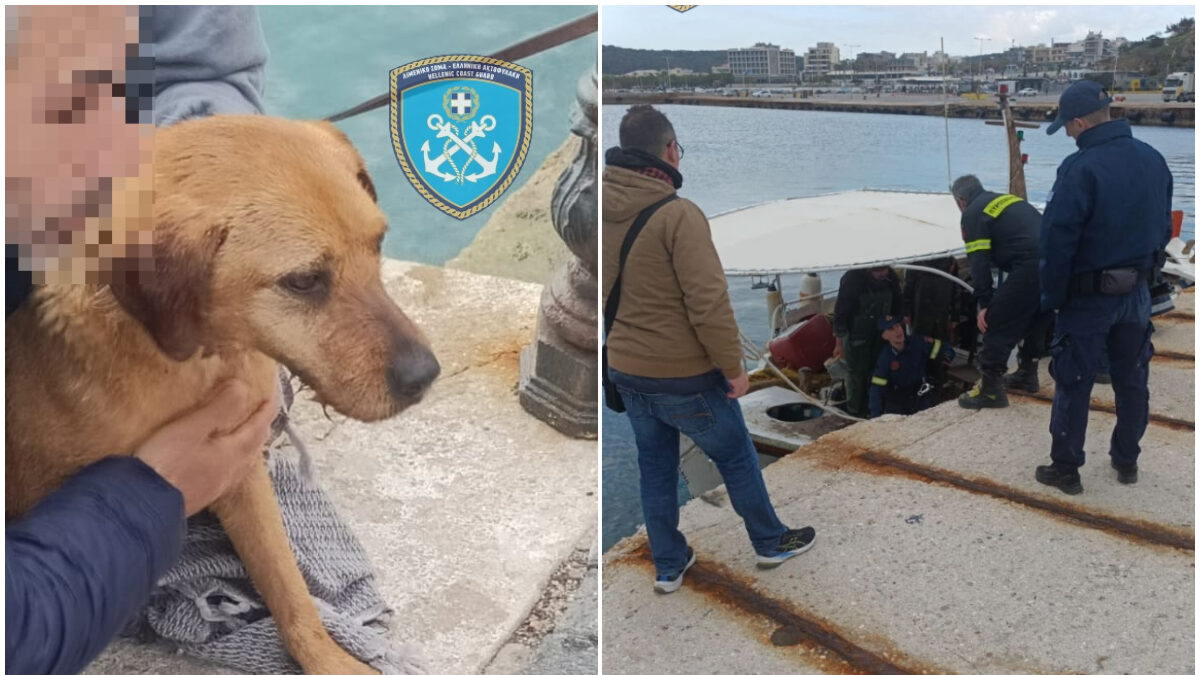 Αίσιο τέλος είχε η επιχείρηση του Λιμενικού
