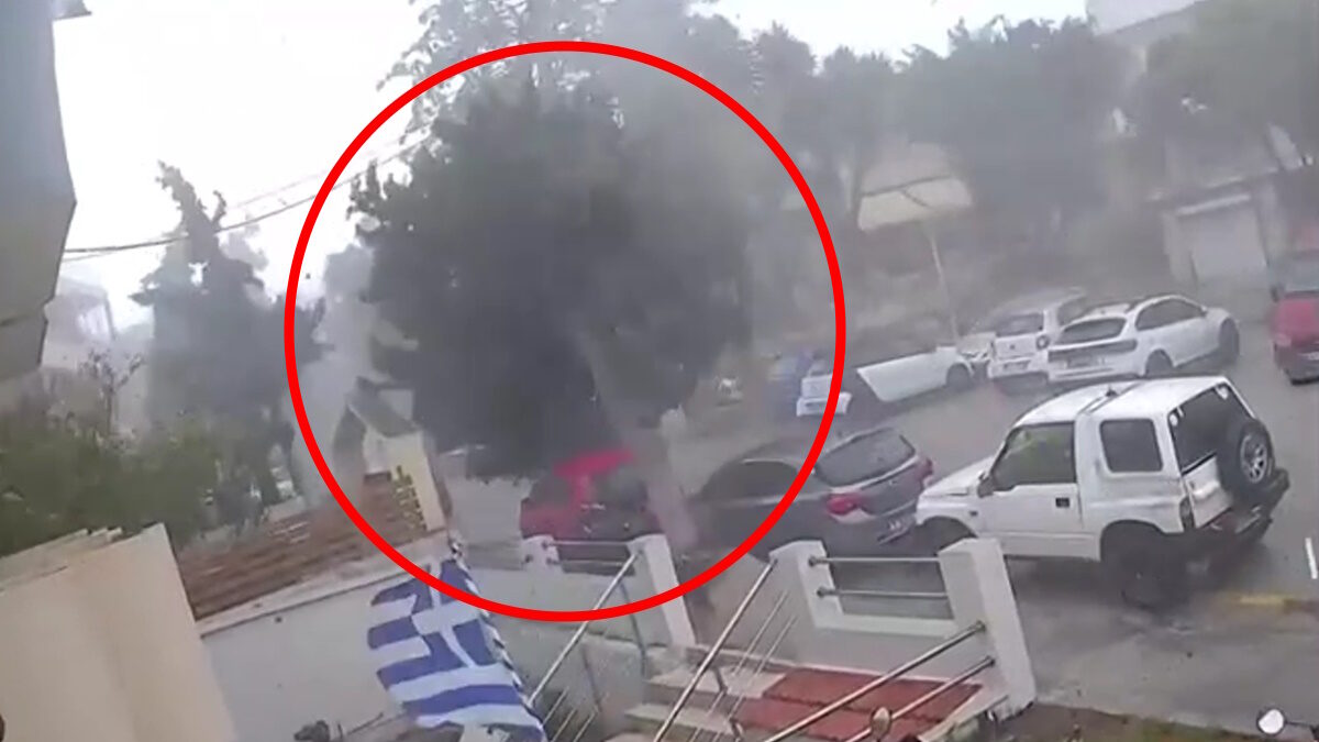 Πτώση δέντρου στη Ρόδο