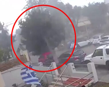 Πτώση δέντρου στη Ρόδο