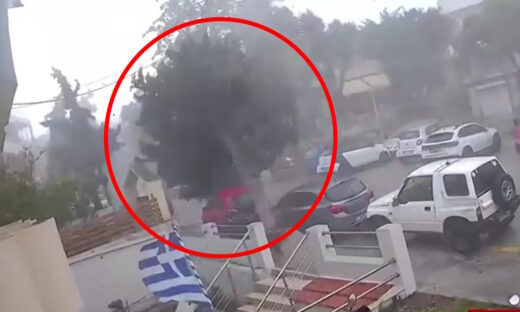 Πτώση δέντρου στη Ρόδο