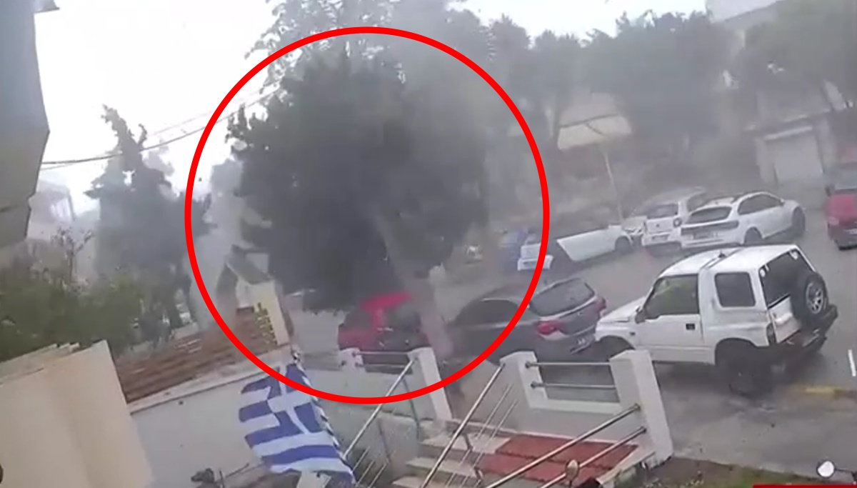 Πτώση δέντρου στη Ρόδο