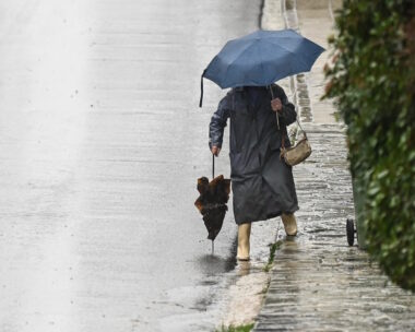 ΜΙΧΑΛΗΣ ΚΑΡΑΓΙΑΝΝΗΣ