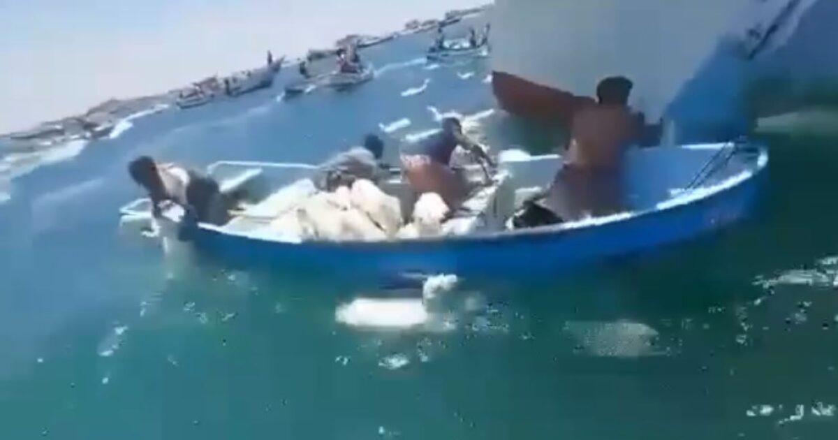 Yemen: Fishermen “fish” sheep from the sea after a wreck