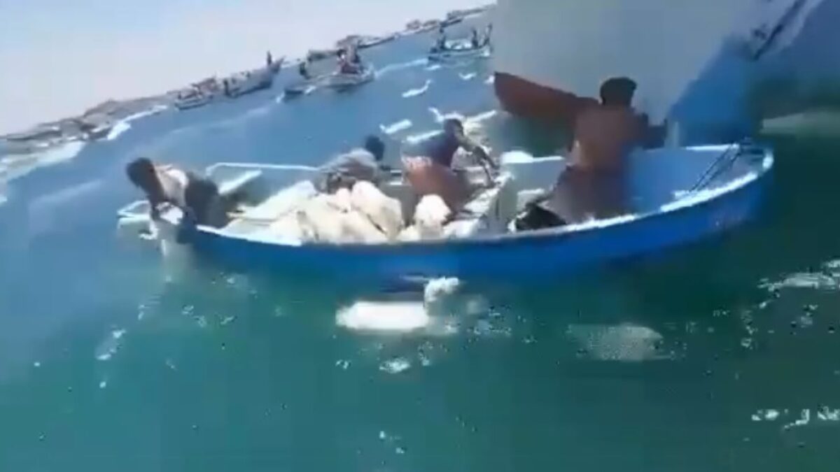 Χιλιάδες πρόβατα βρέθηκαν στη θαλάσσα
