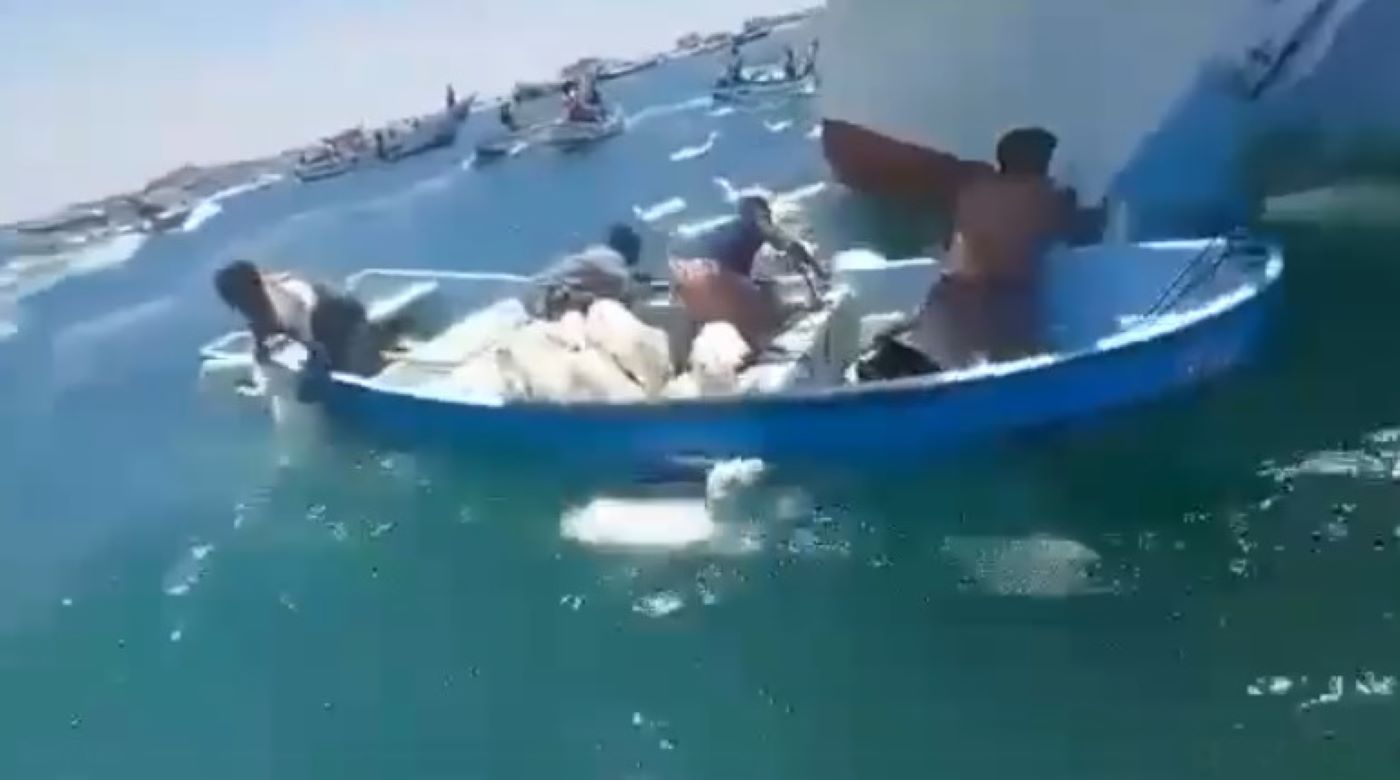 Χιλιάδες πρόβατα βρέθηκαν στη θαλάσσα