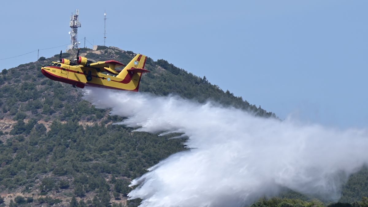 ΜΙΧΑΛΗΣ ΚΑΡΑΓΙΑΝΝΗΣ