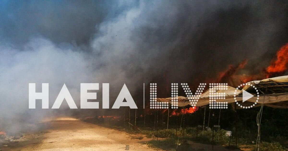 Νέα Μανωλάδα: Φωτιά σε καταυλισμό εργατών – Ακούγονται εκρήξεις