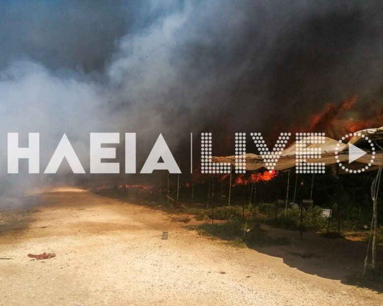 Νέα Μανωλάδα: Φωτιά σε καταυλισμό εργατών – Ακούγονται εκρήξεις