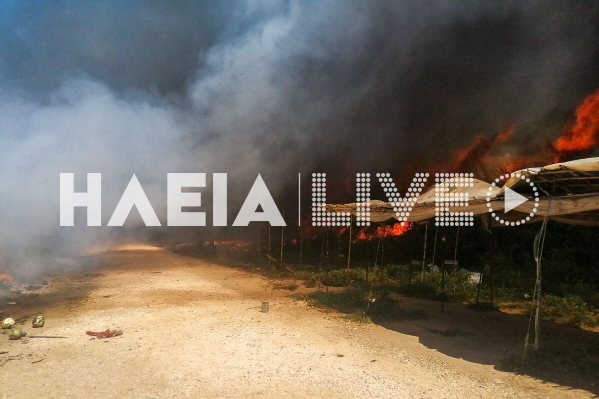 Φωτιά σε καταυλισμό στη Νέα Μανωλάδα