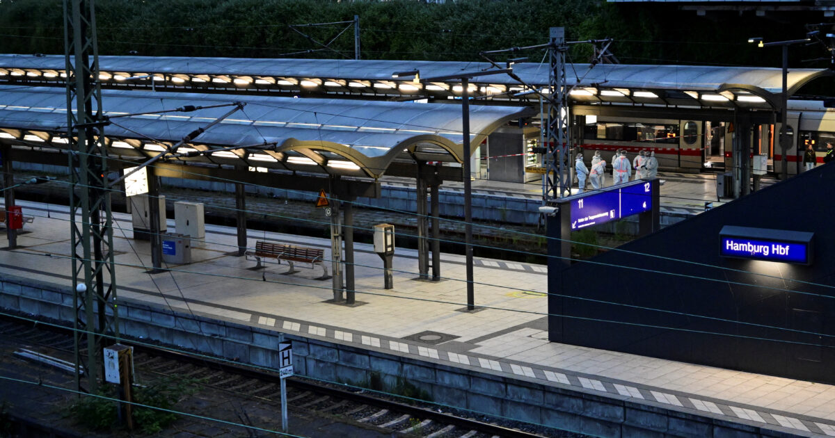 Germany: At least 17 wounded in a knife attack at the Hamburg Railway Station – Mertz crushed
