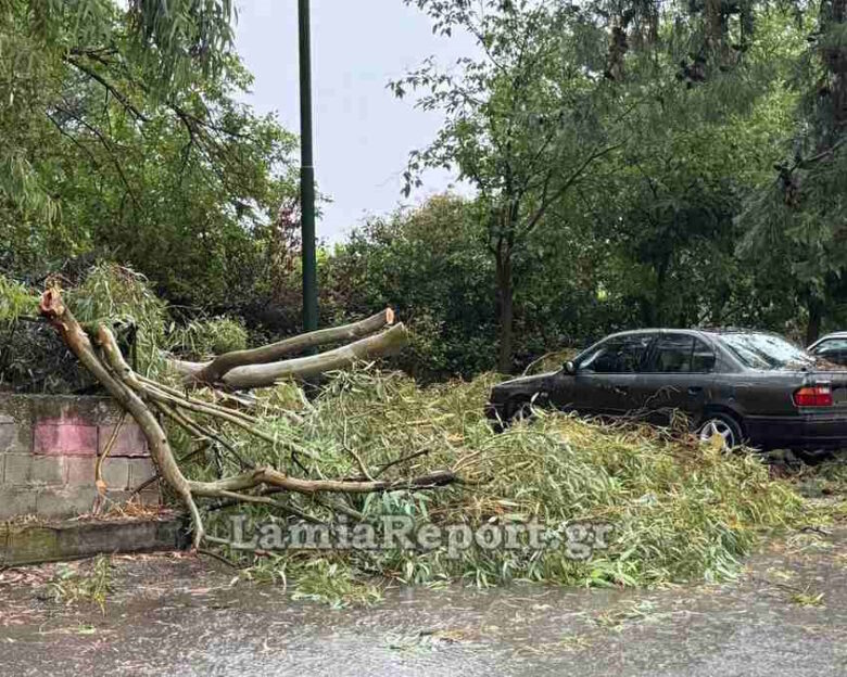 Καιρός – Λαμία: Πολλά προβλήματα από ισχυρό μπουρίνι, ξεριζωμένα δέντρα και «φουσκωμένοι» χείμαρροι