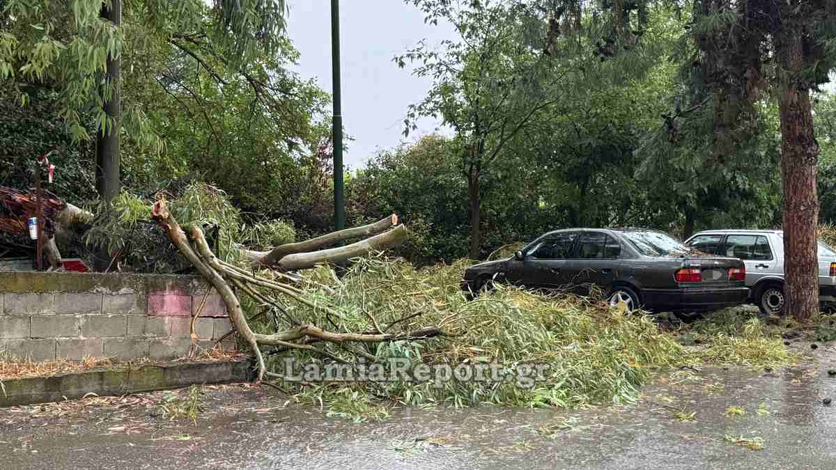 Εικόνες καταστροφής στη Λαμία λόγω της κακοκαιρίας