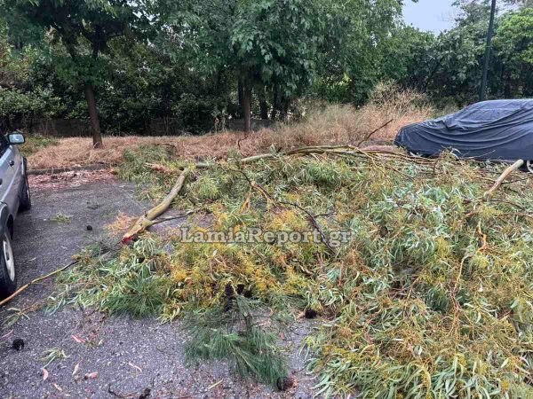 Εικόνες καταστροφής στη Λαμία λόγω της κακοκαιρίας