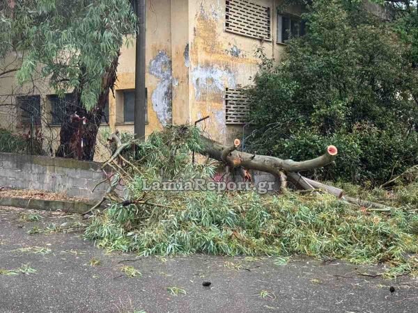 Εικόνες καταστροφής στη Λαμία λόγω της κακοκαιρίας