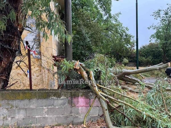 Εικόνες καταστροφής στη Λαμία λόγω της κακοκαιρίας