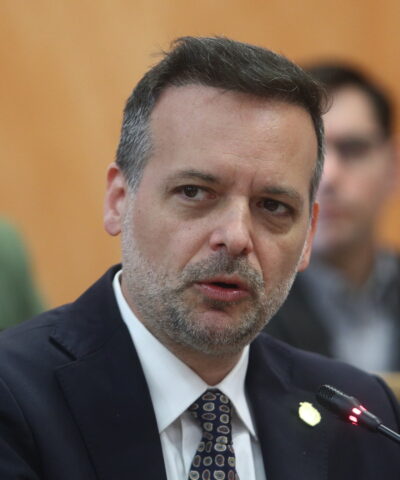 Ο Χάρης Δούκας