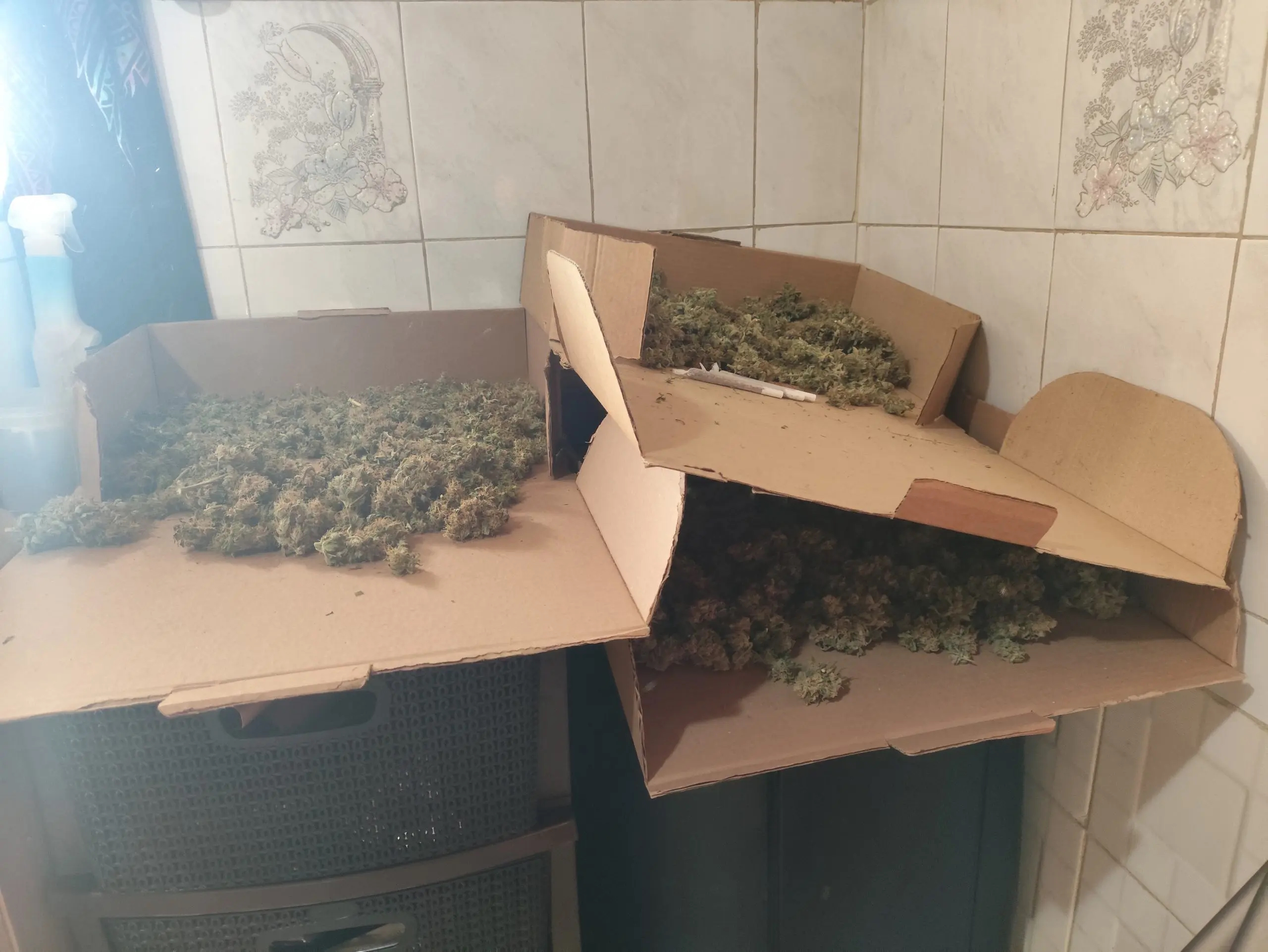 Πλήρως εξοπλισμένο εργαστήριο καλλιέργειας υδροπονικής κάνναβης στον Ασπρόπυργο