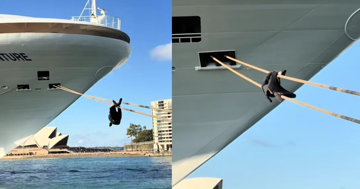 Sydney: A 29 -year -old video climbing on ropes to “pierce” on a cruise ship