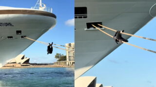 Ενας άνδρας στα σχοινιά ενός κρουαζιερόπλοιου