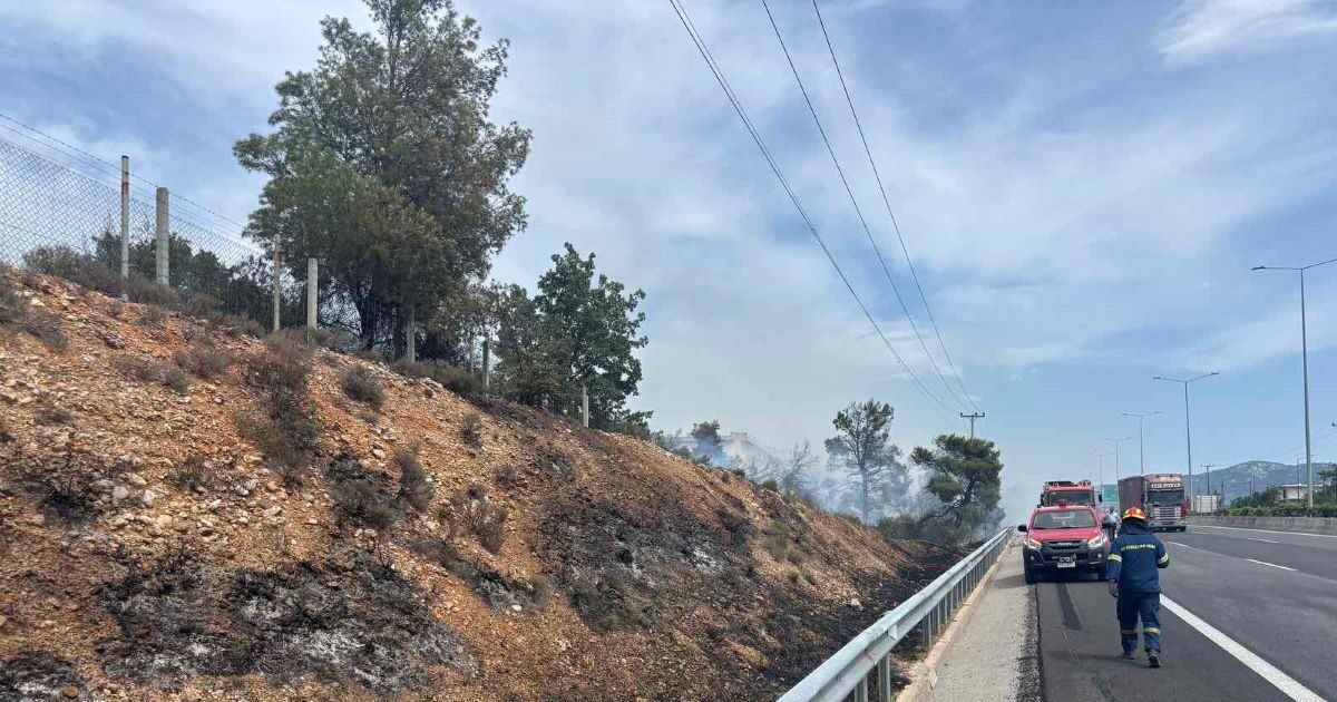 Fire in Avlona – they got up and aerial media