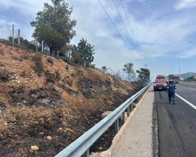 Φωτιά στον Αυλώνα – Σηκώθηκαν και εναέρια μέσα