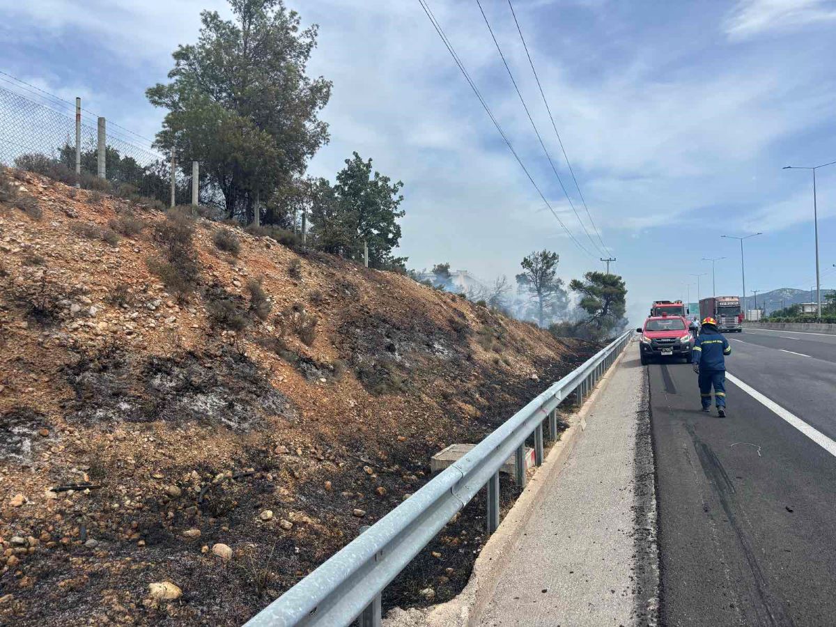 Από τη φωτιά στον Αυλώνα