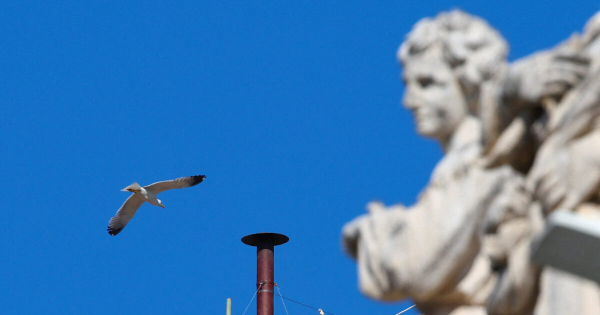 Vatican: Special red chimney for the election of a new Pope was placed in Sistina Hat