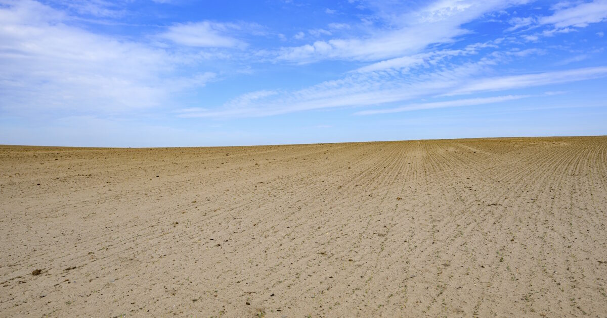 United Arab Emirates: “Melled” with temperatures at 51.6 degrees Celsius