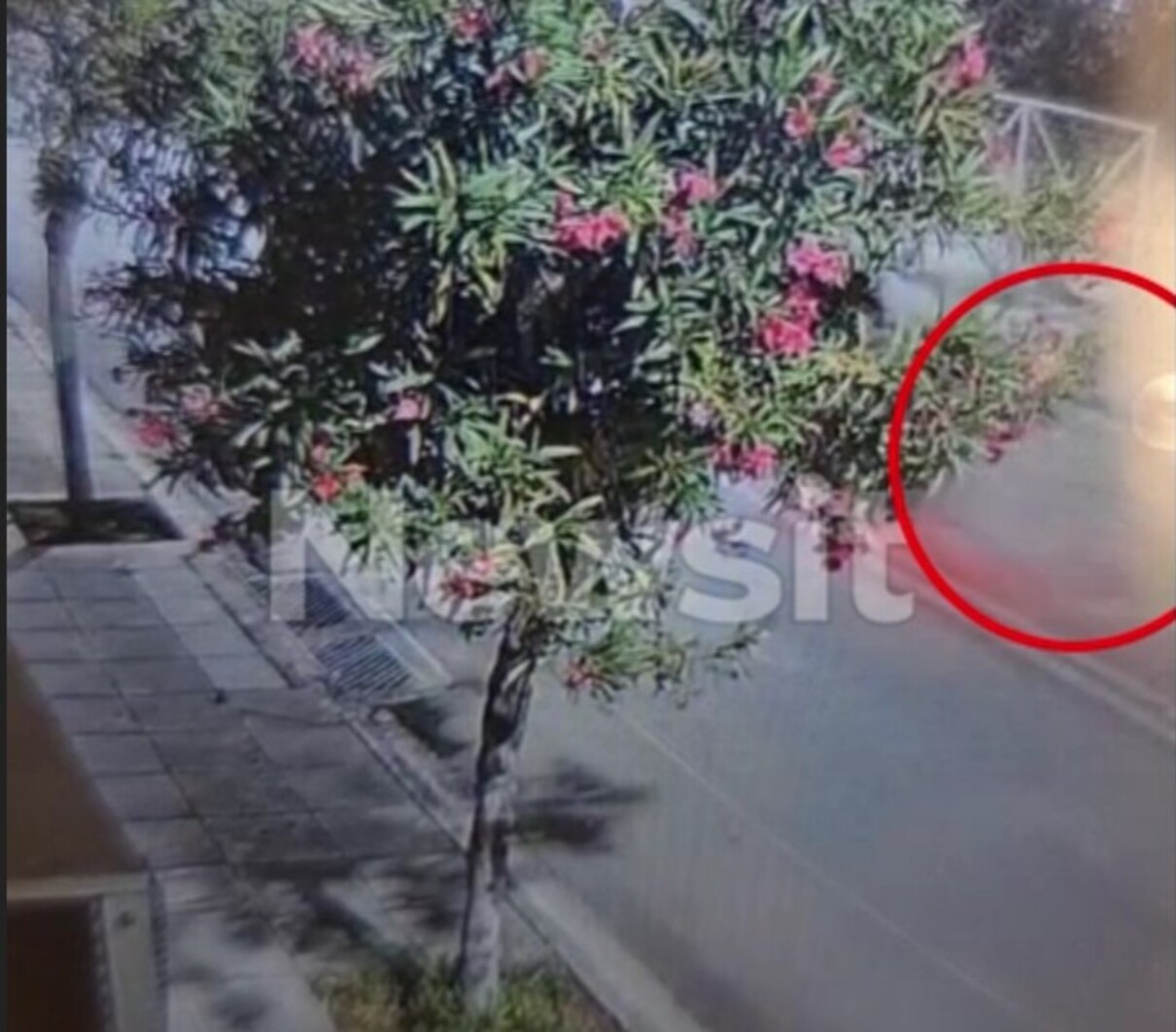 Άνω Λιόσια: Η στιγμή που οι δράστες κυνηγούν και «γαζώνουν» τη μαύρη Mercedes του 42χρονου bodybuilder – «Με πυροβόλησαν»