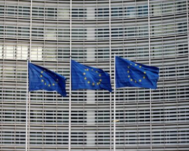 Σημαίες της Ευρωπαϊκής Ένωσης