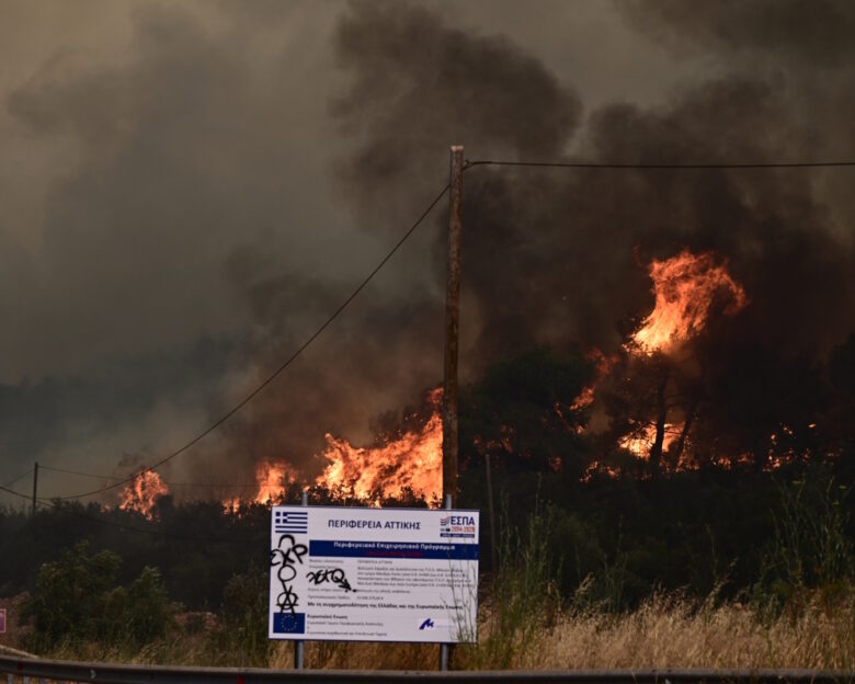 Φωτιά στον Ασπρόπυργο στην περιοχή Τζαβερδέλα: Πυροσβέστες και αεροσκάφη δίνουν μάχη με τις φλόγες και τους ανέμους