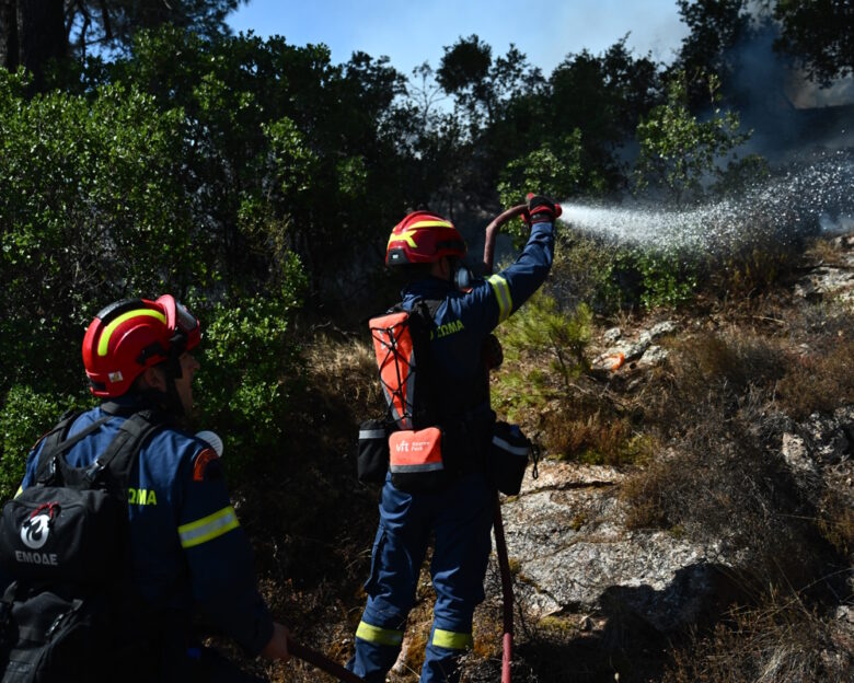 Φωτιά στη Ριτσώνα: Μεγάλη πυροσβεστική δύναμη στο σημείο
