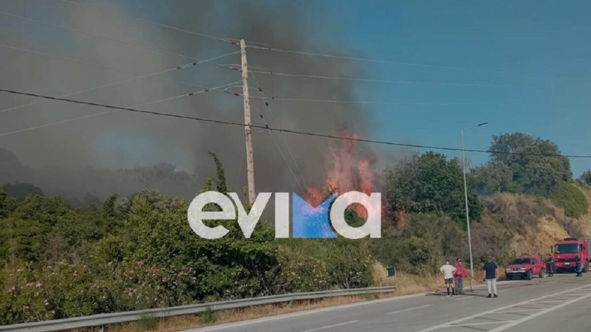 Φωτιά στην Εύβοια