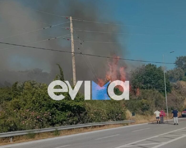 Εύβοια: Συνελήφθη 87χρονος για τη φωτιά – Κάπνιζε μελίσσια