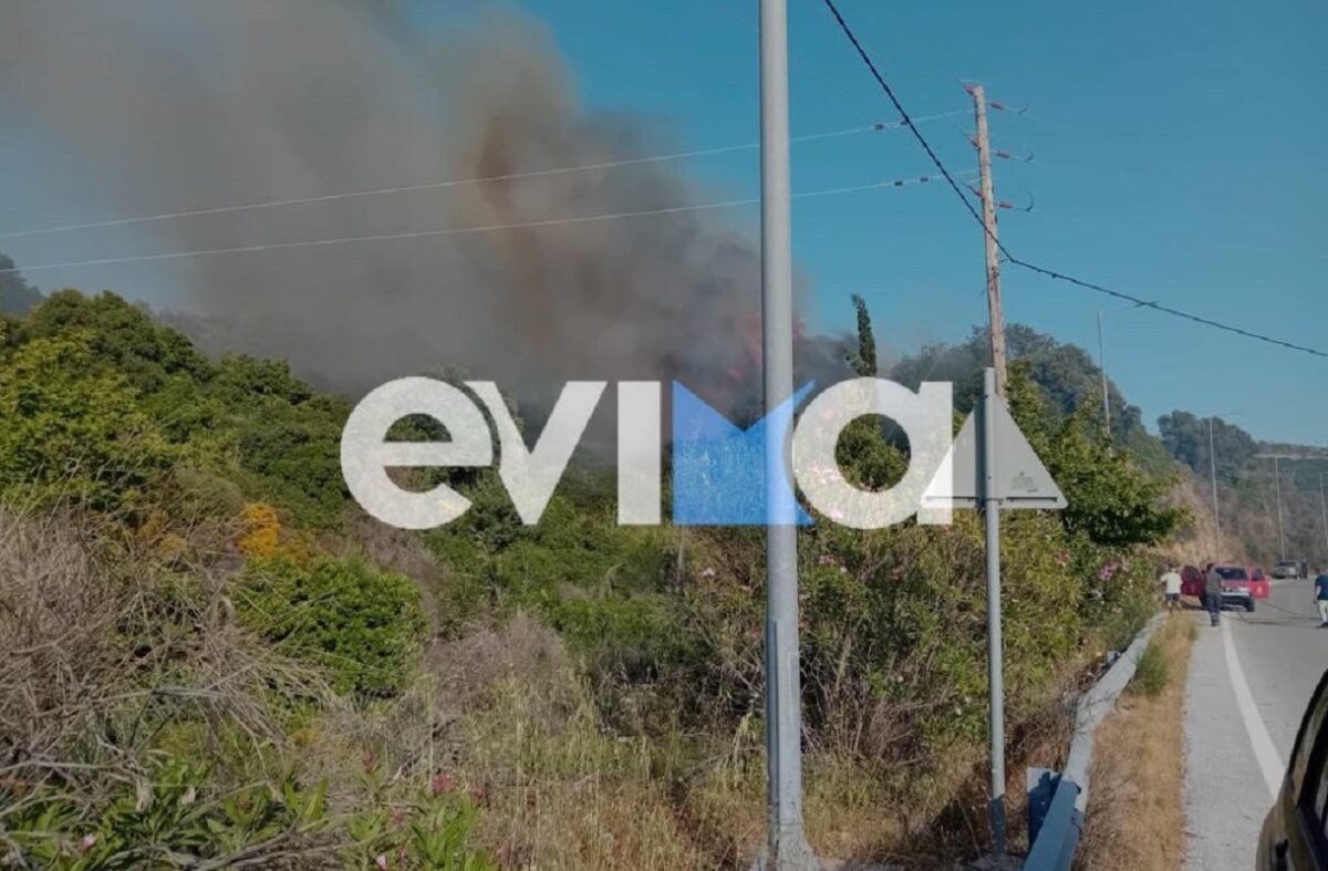Φωτιά στην Εύβοια