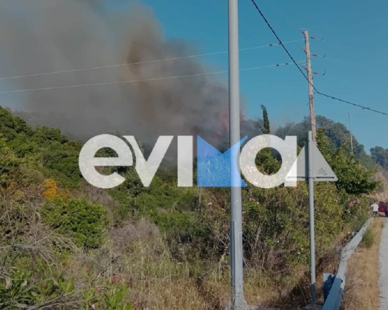 Φωτιά στην Εύβοια στον Αλμυροπόταμο