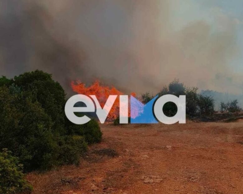 Φωτιά στη Ριτσώνα: Σηκώθηκαν ελικόπτερα και αεροσκάφη
