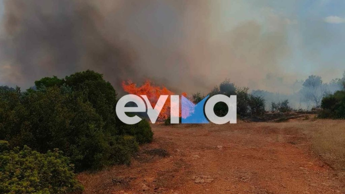 Φωτιά