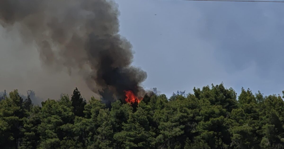 Φωτιά στη Ριτσώνα: Σκληρή μάχη με τις φλόγες δίνουν πάνω από 100 πυροσβέστες και 10 εναέρια μέσα – Συνελήφθη 28χρονος