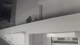 Η στιγμή που ο 26χρονος ληστής ετοιμάζεται να «μπουκάρει» στην εταιρεία στη Γλυφάδα