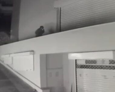 Η στιγμή που ο 26χρονος ληστής ετοιμάζεται να «μπουκάρει» στην εταιρεία στη Γλυφάδα