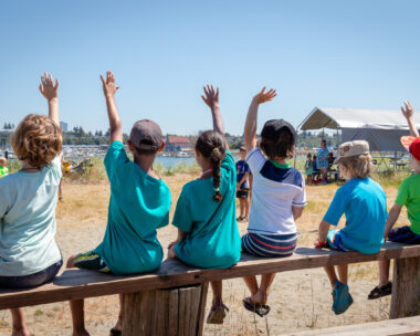 Students holding their hands up to volunter or ask questions of their teacher