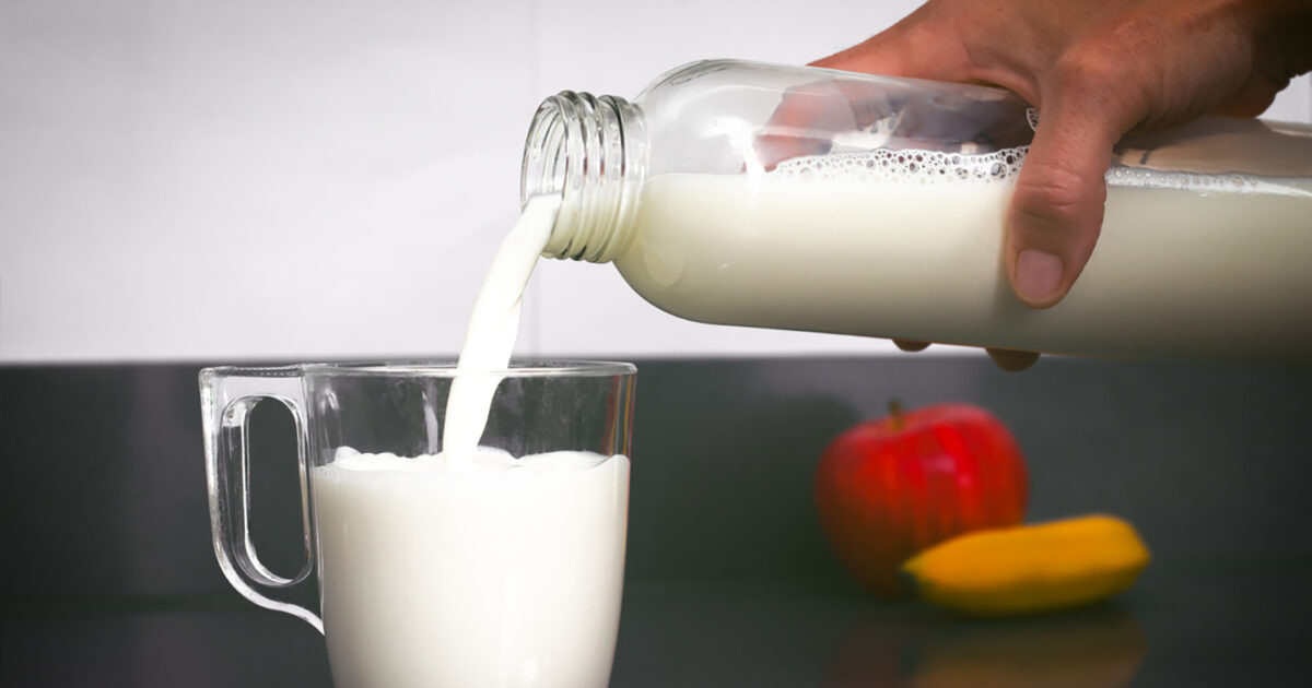 Milk prices are rising and producers decrease – what do data show 2024