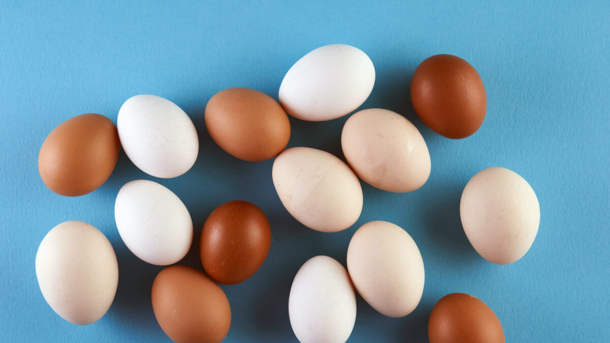 egg with different color shades against blue background