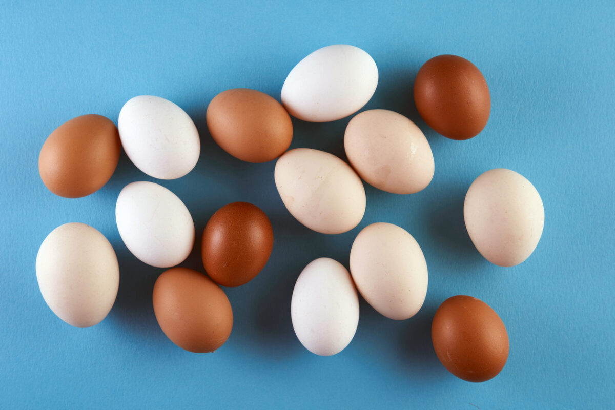 egg with different color shades against blue background